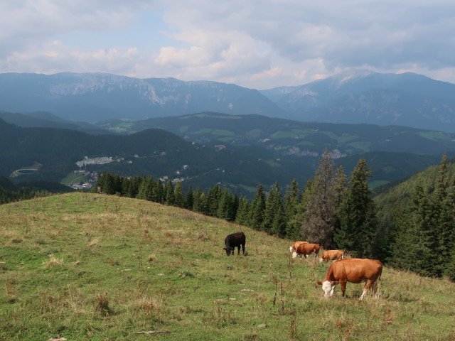 vom Dürrriegel Richtung Norden
