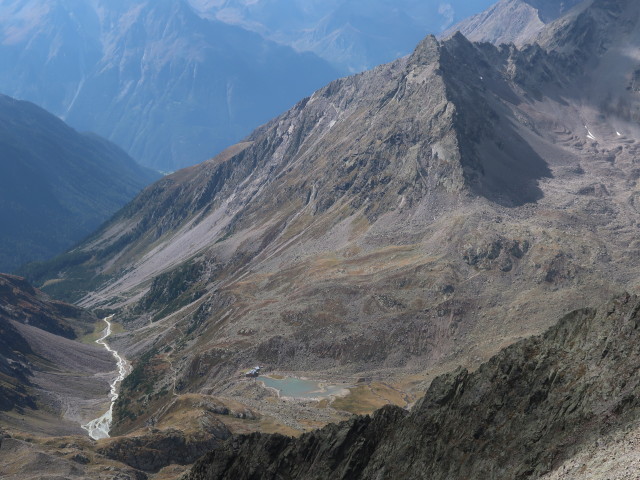 Gänsekragen (16. Sep.)