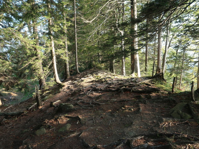 zwischen Hochälpele und Gschwendtalpe (29. Sep.)