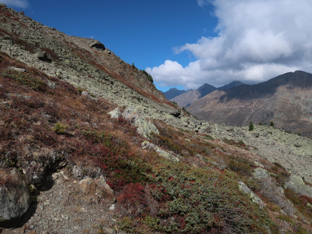 neben Weg 30 zwischen Seekarl und Lenzenalm