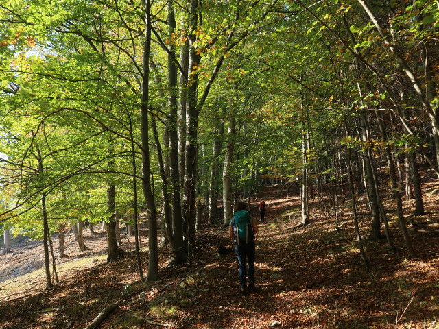 Sabine und Mama zwischen Waldegg und Vordere Mandling