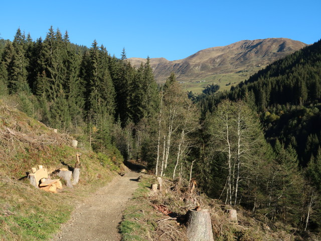 Almenweg zwischen Gemais und Obergeislerhof (13. Okt.)