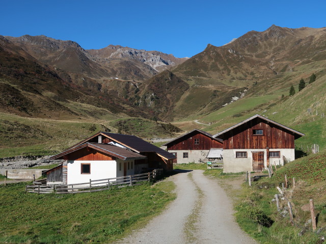 Hobalm, 1.800 m (13. Okt.)