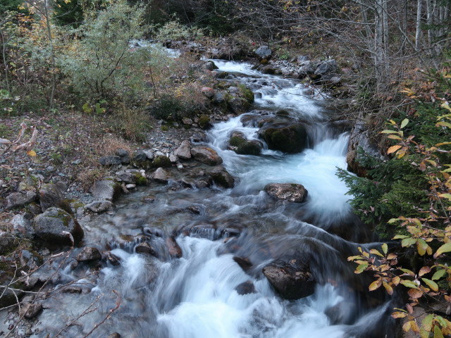 Rasafeibach (20. Okt.)