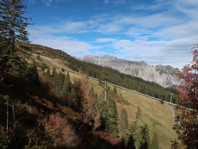 zwischen Matschwitz und Grüneck (21. Okt.)