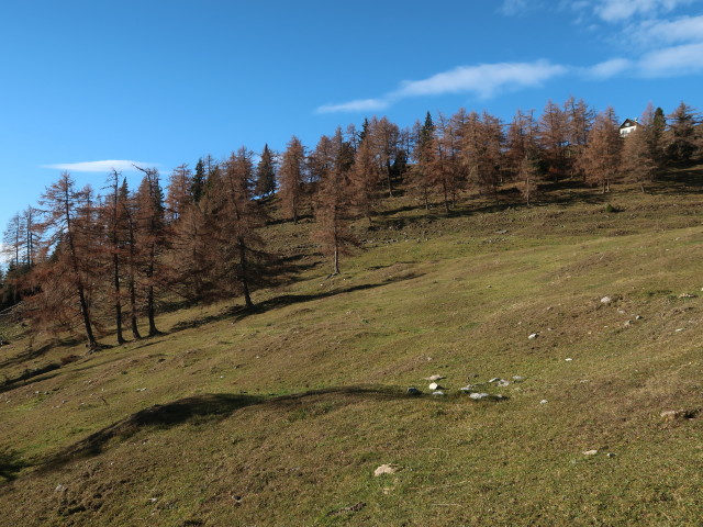 Weg 29 zwischen Gussgraben und Schießlingalm