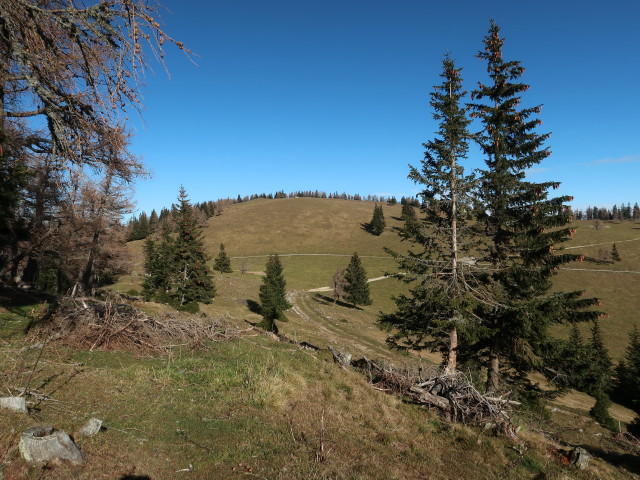 Schießling von der Fürstkuppe aus