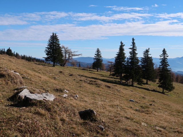 zwischen Schießling und Oischingalm