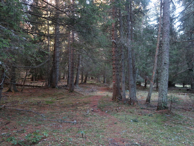 Weg 31 am Zargenboden