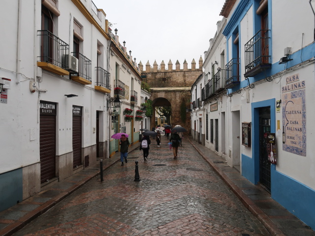 Murallas y Puerta de Almodóvar in Córdoba (20. Nov.)