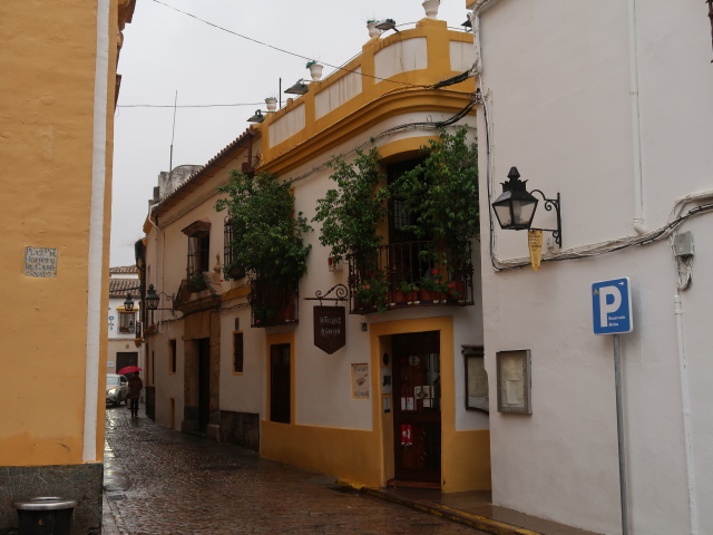 Calle Romero in Córdoba (20. Nov.)