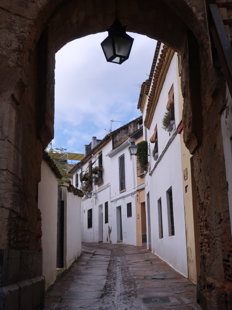 Calle Portillo in Córdoba (20. Nov.)
