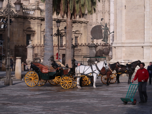 Plaza del Triunfo in Sevilla (21. Nov.)