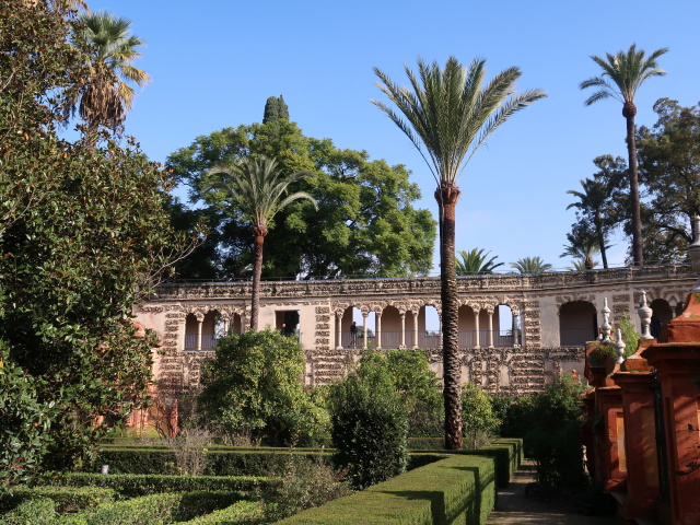 Real Alcázar de Sevilla (21. Nov.)