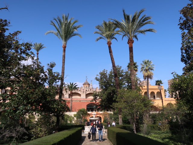 Real Alcázar de Sevilla (21. Nov.)