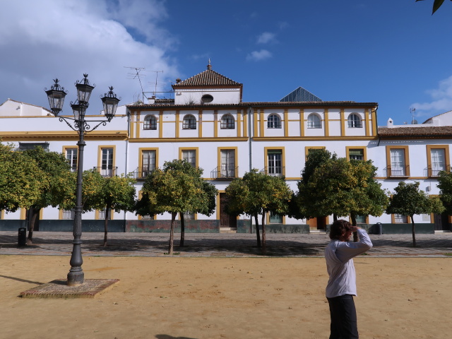 Real Alcázar de Sevilla (21. Nov.)
