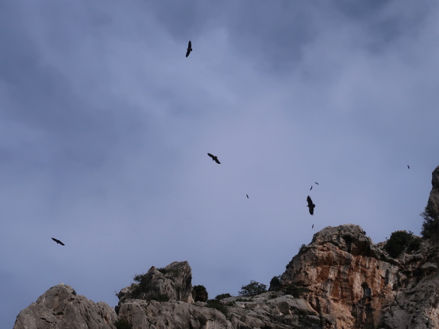 Caminito del Rey: Desfiladero de Los Gaitanes (23. Nov.)