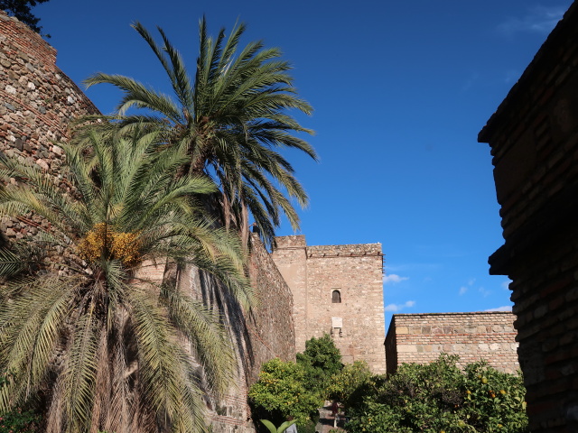Alcazaba de Málaga (24. Nov.)