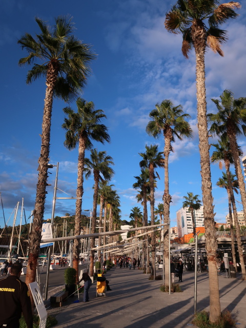Passeo del Muelle Uno in Málaga (24. Nov.)