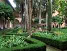 Palacio Nazaríes in der Alhambra in Granada (19. Nov.)