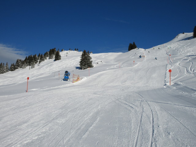 Hornköpfl-Süd-Abfahrt