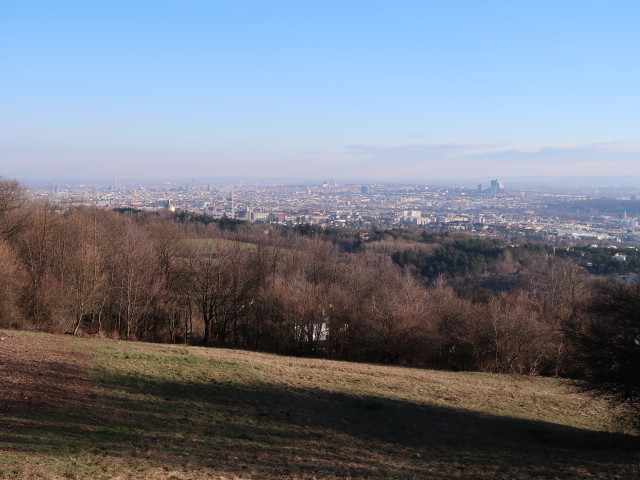 Wien vom Satzberg aus