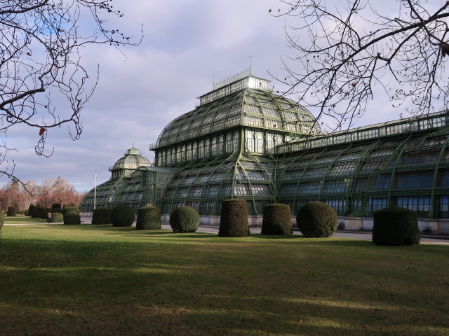 Palmenhaus