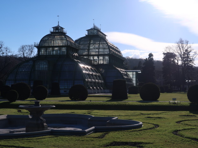 Palmenhaus