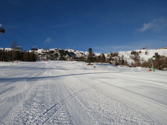 Lärchenboden-Abfahrt und Verbindungsabfahrt Lärchenboden (13. Jän.)