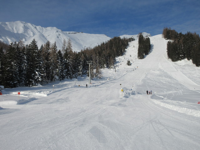 Pratz-Bäume-Abfahrt