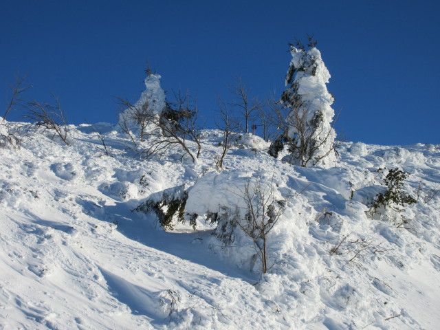 neben dem Gipfellift