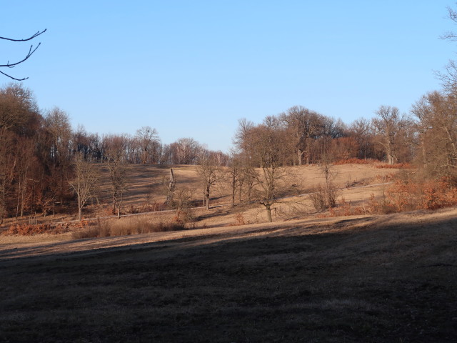 zwischen Hüttgrabenstadl und Grünauer Bach