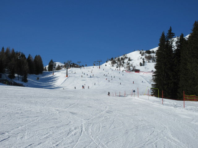 Abfahrt Hochalm - Heimalm