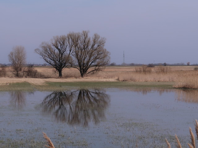 Zitzmannsdorfer Wiesen