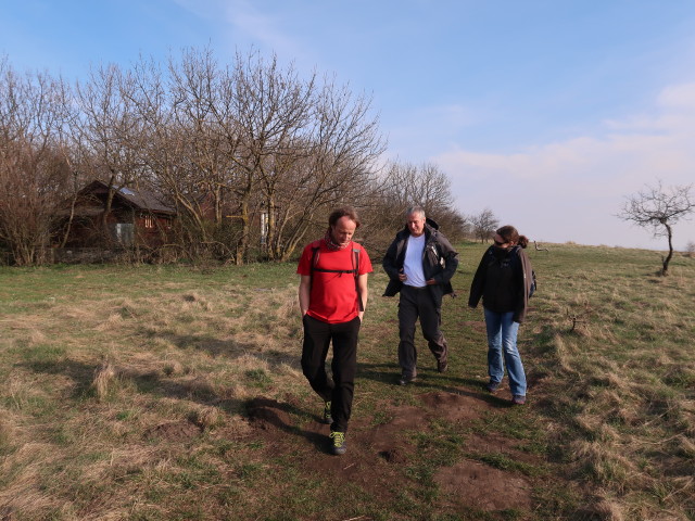 Jörg, Erich und Sabine am Hundsheimer Berg, 480 m