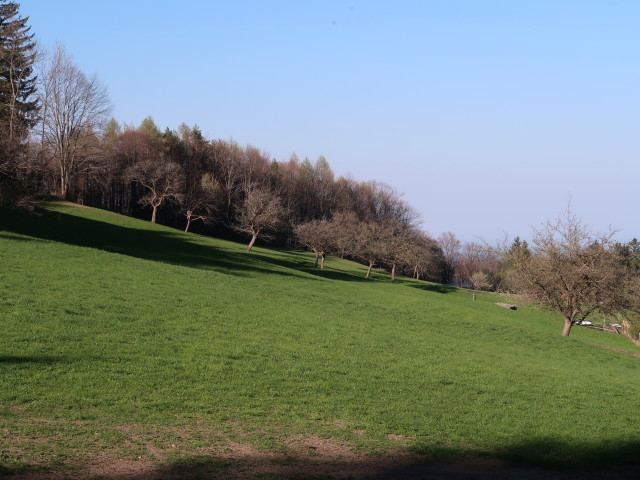 neben dem Otterrundweg zwischen Schanzkapelle und Schlagl