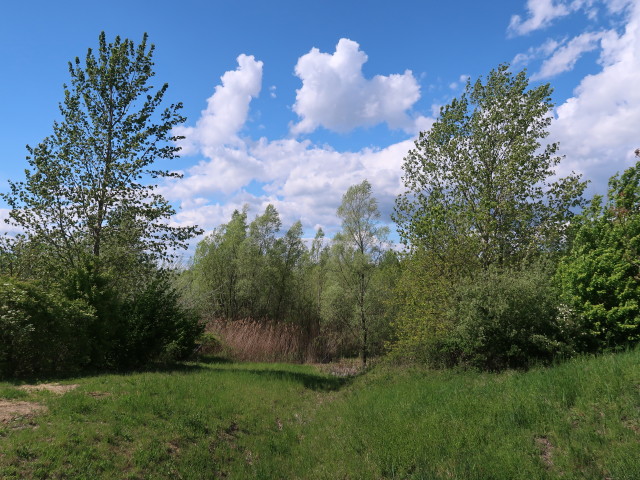 beim Westportal des Wienerwaldtunnels