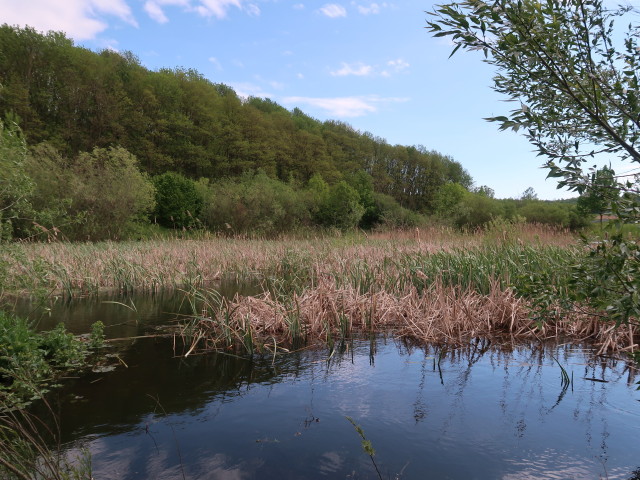 beim Westportal des Hankenfelder Tunnels
