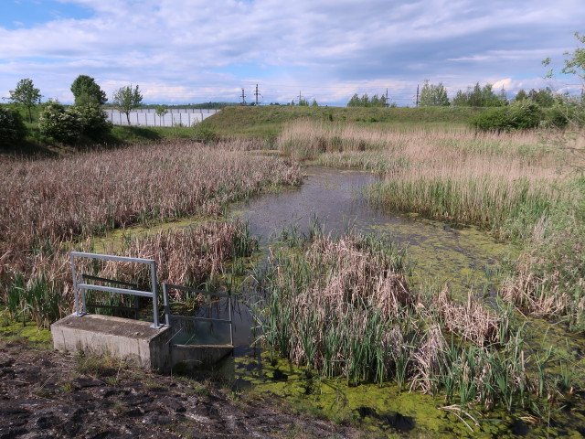 beim Westportal des Hankenfelder Tunnels