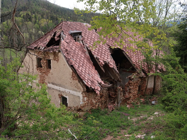 zwischen Falkenstein und Frauengrotte