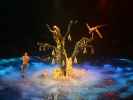 Le Reve - The Dream Show im Wynn Hotel in Las Vegas (19. Mai)