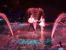 Le Reve - The Dream Show im Wynn Hotel in Las Vegas (19. Mai)