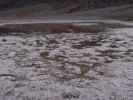 Badwater im Death Valley National Park, -86 m (22. Mai)