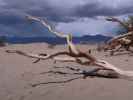 Mesquite Flat Sand Dunes im Death Valley National Park (22. Mai)