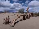 Mesquite Flat Sand Dunes im Death Valley National Park (22. Mai)