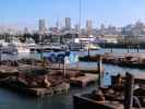 Pier 39 in San Francisco (28. Mai)