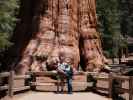 Ich und Sabine beim General Sherman Tree im Sequoia National Park (30. Mai)