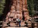 Ich und Sabine beim General Sherman Tree im Sequoia National Park (30. Mai)