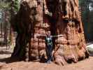 Sabine beim McKinley Tree im Sequoia National Park (30. Mai)