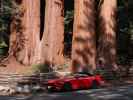 Grant Grove im Kings Canyon National Park (30. Mai)